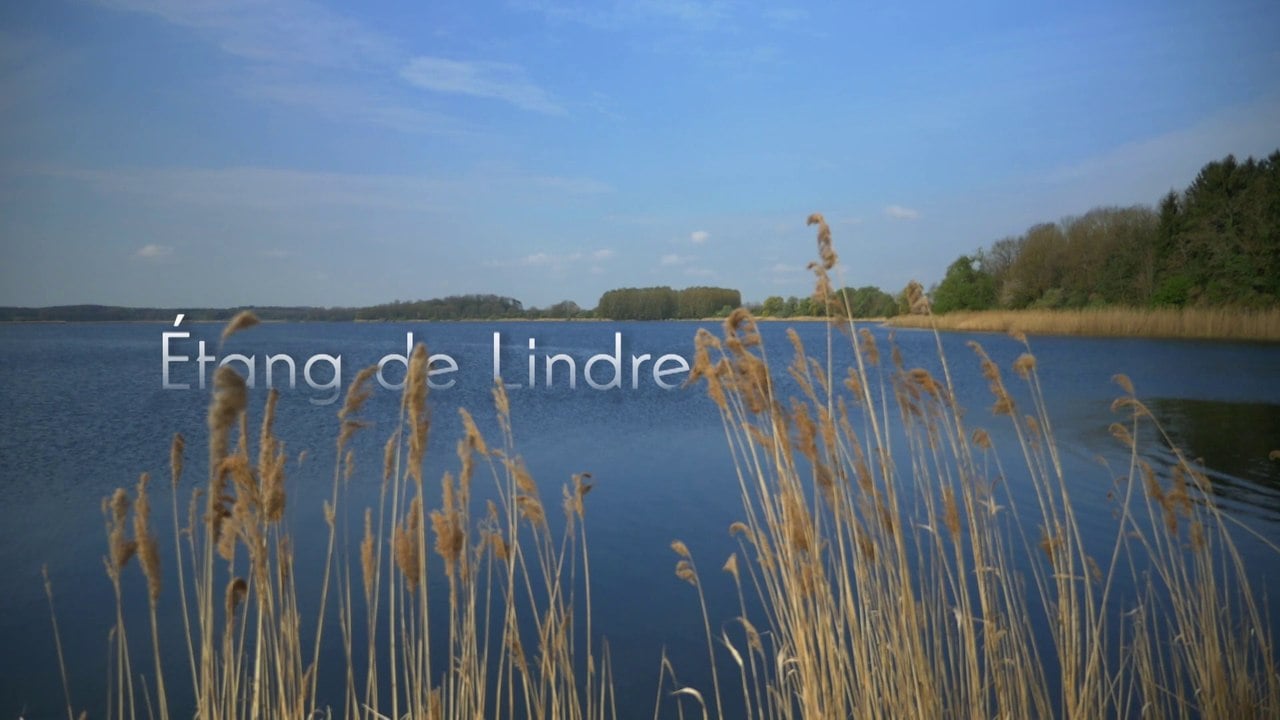 Domaine de Lindre